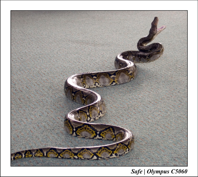 2007 - 12 - Vacances Phuket - 03